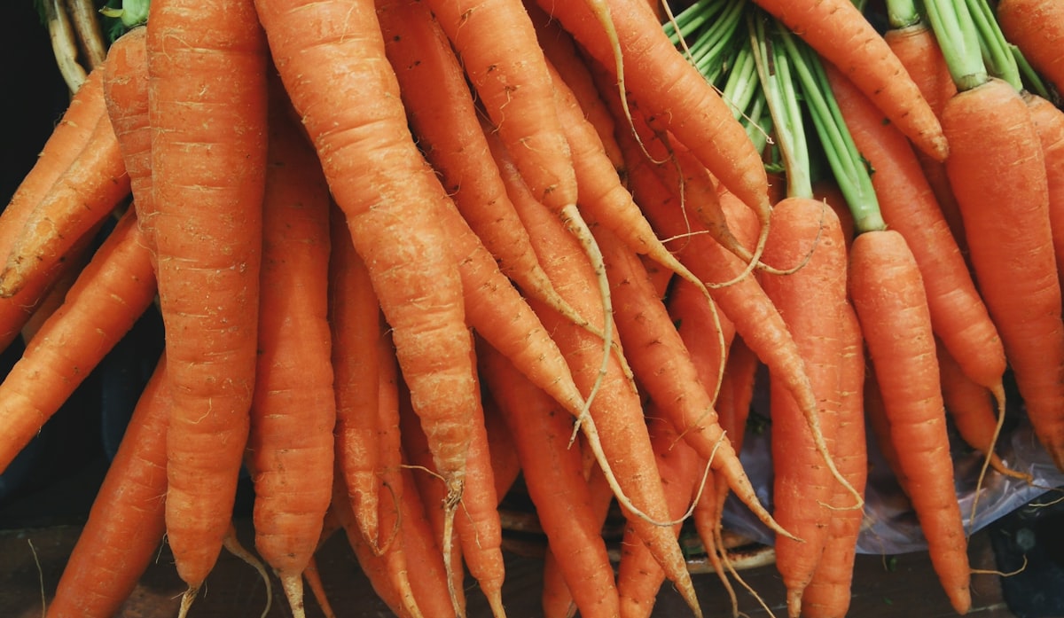 Salute visiva e alimentazione