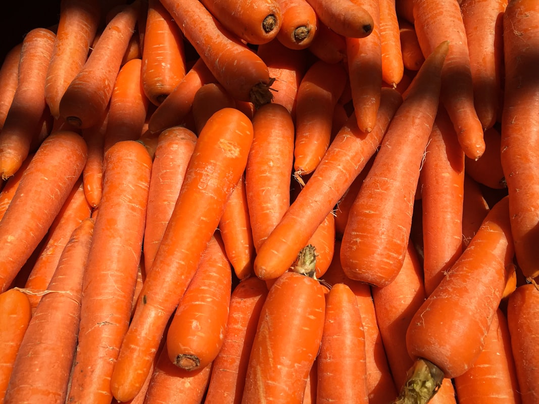 Uova nutrienti per gli occhi